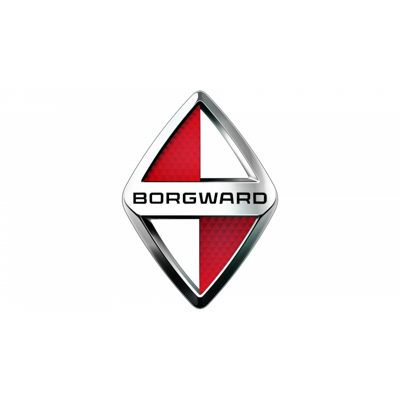 Borgward - Chiptuning Remapping +Leistung -Verbrauch
