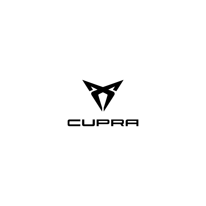 Cupra - Chiptuning Remapping +Leistung -Verbrauch