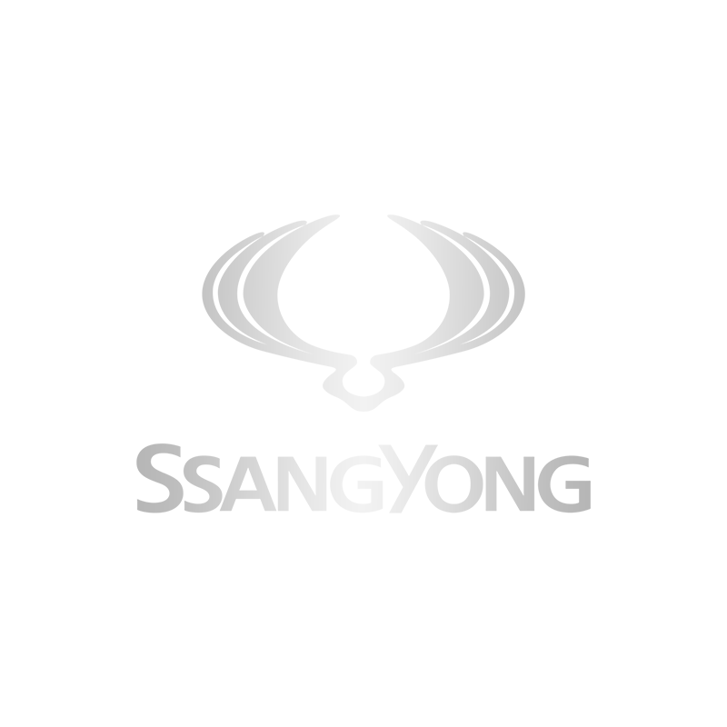 SsangYong - Chiptuning Remapping +Leistung -Verbrauch